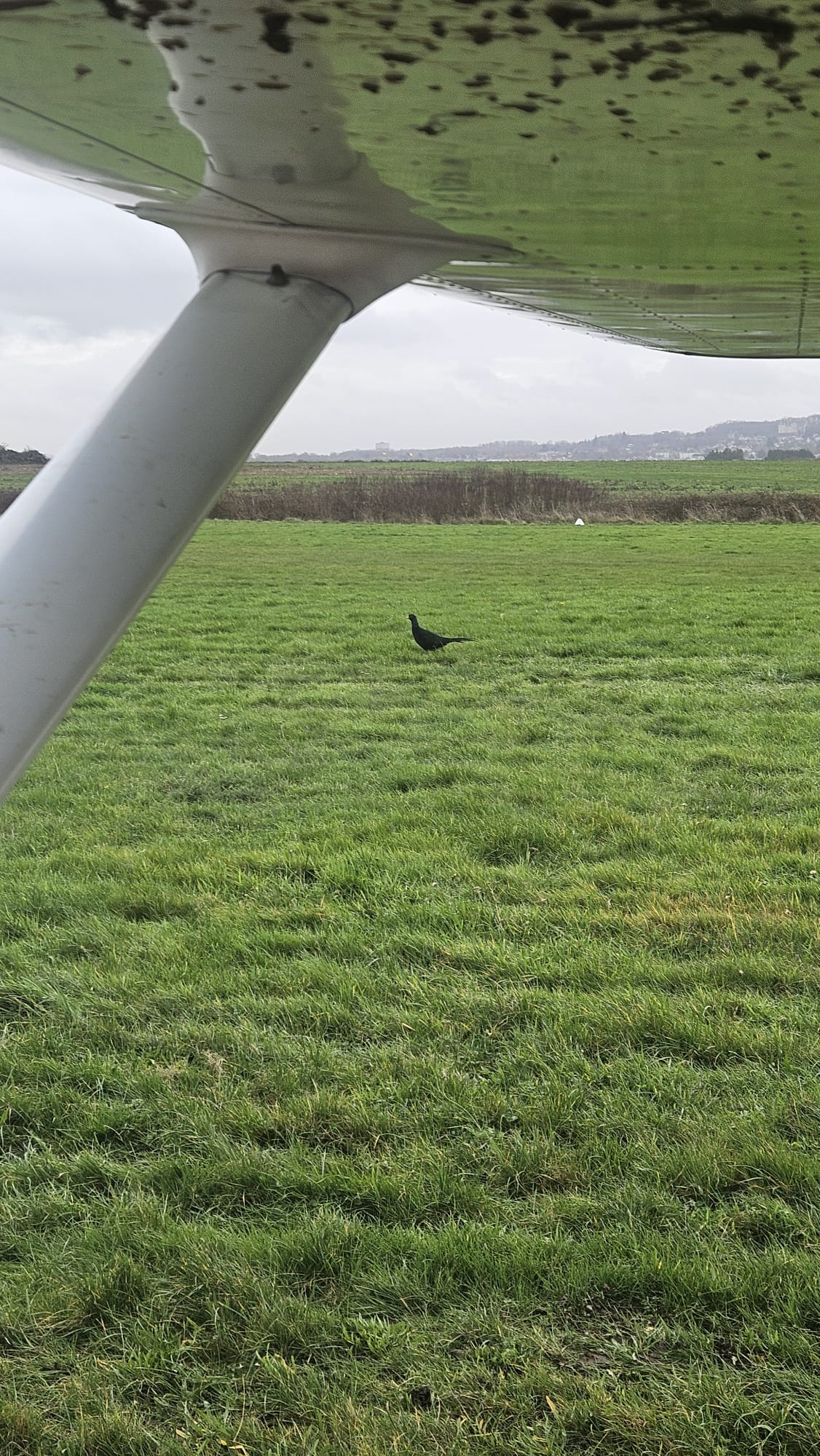 Nature aux Ailerons - Photo 1