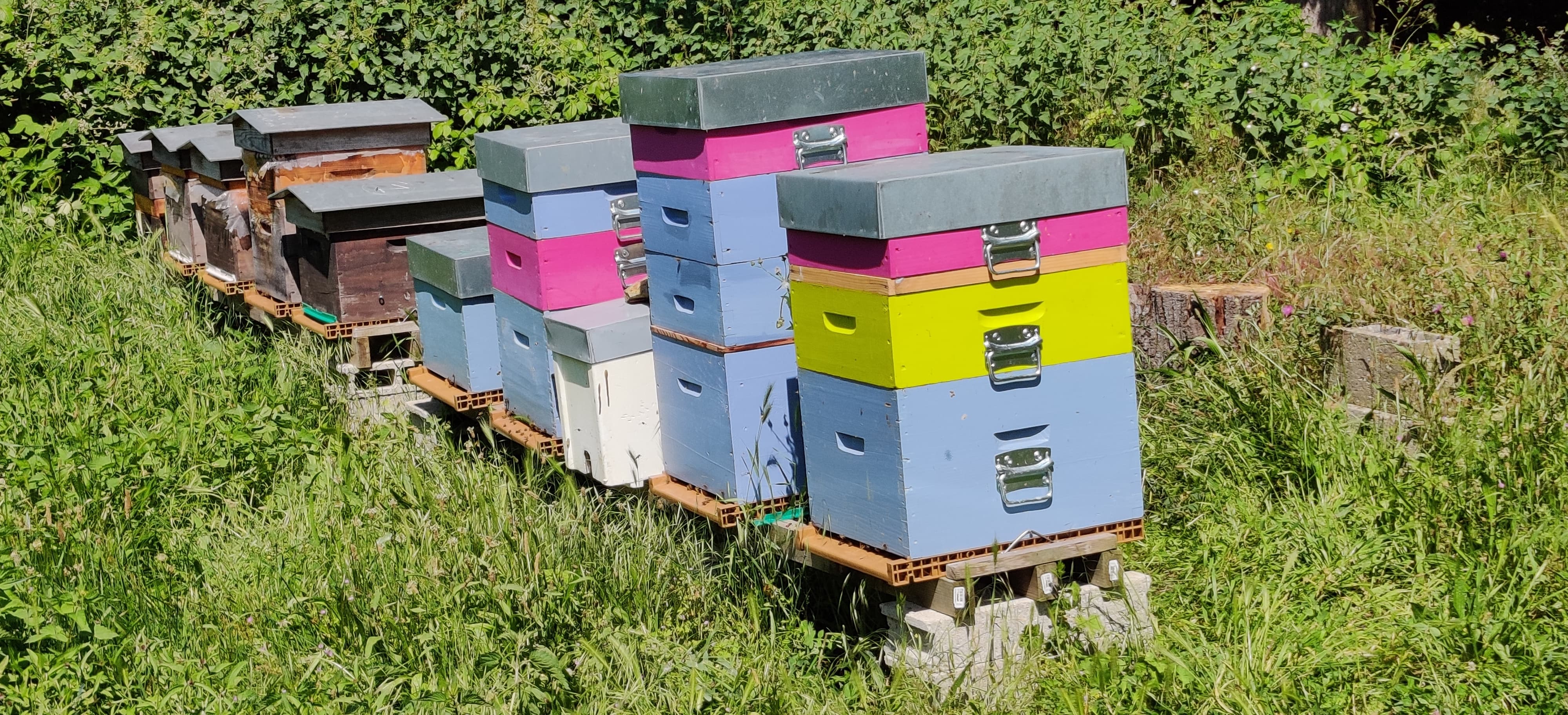 Les Ruches des Ailerons - Photo 1